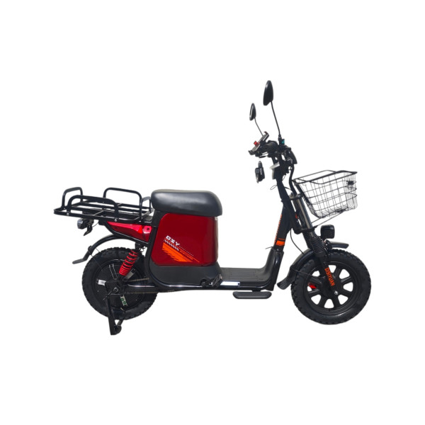Elektro Bike 60/60