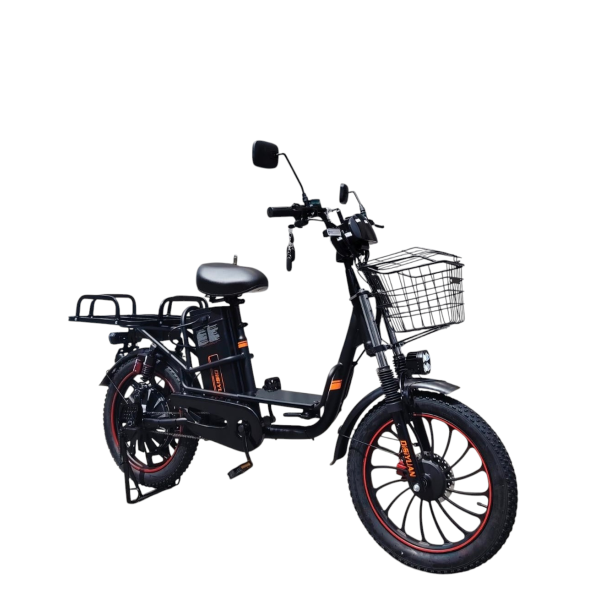 Elektro Bike Disiyuan 