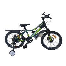 Chempion MTB 20