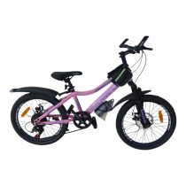 Chempion MTB 20