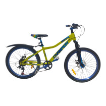 Chempion 24 MTB