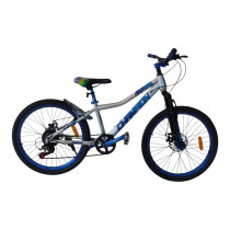 Chempion 24 MTB