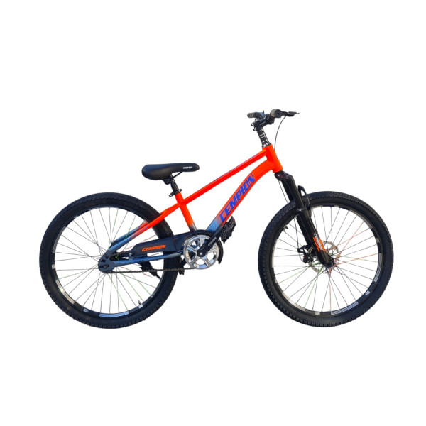 Chempion 24 MTB BİKE 